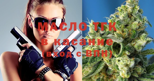 индика Михайловск