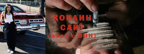 индика Михайловск