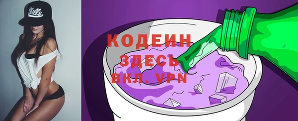 индика Михайловск