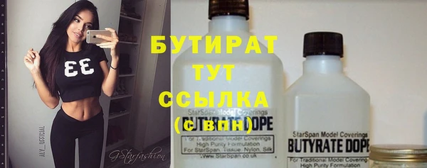 индика Михайловск