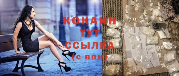 первитин Михайлов