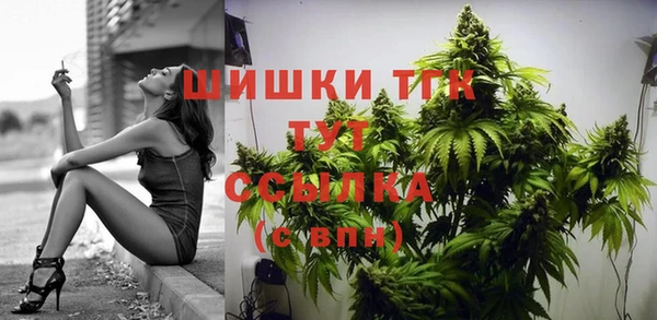 индика Михайловск