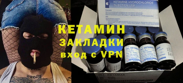 индика Михайловск