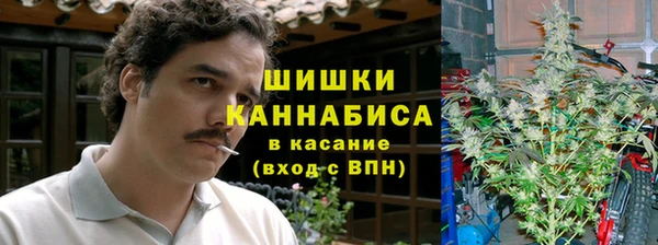 бутират Мегион
