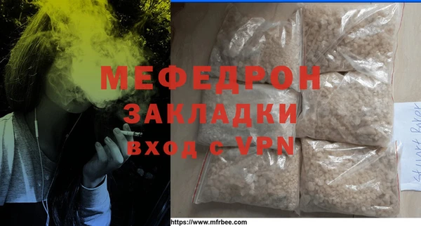 индика Михайловск