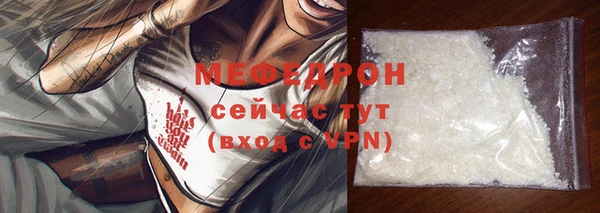 индика Михайловск